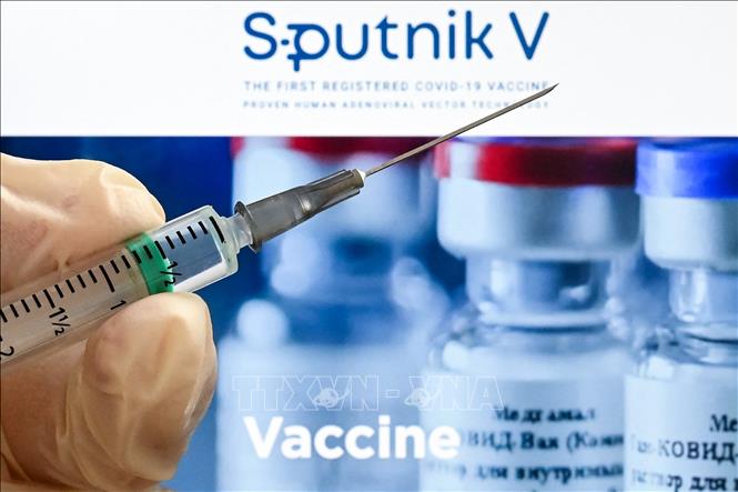 Vaccine ngừa COVID-19 Sputnik V của Nga. Ảnh: AFP/TTXVN