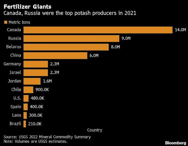 Top các nhà cung cấp phân kali hàng đầu thế giới.