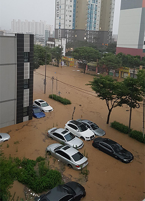 Khung cảnh trước phòng thí nghiệm của chị Vân ở  Đại học Quốc gia Chonnam, Gwangju, sau mưa lớn. Ảnh: Nhân vật cung cấp