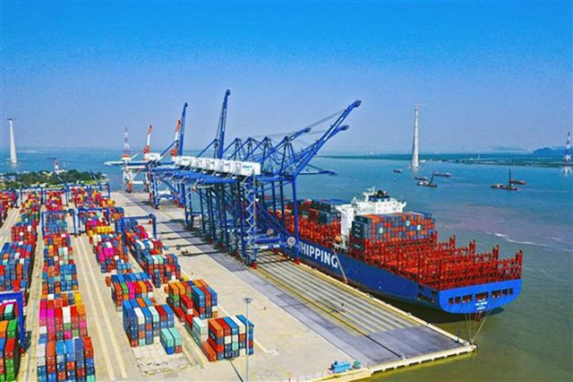 Giá cước vận tải biển của Việt Nam cũng chịu tác động chung từ việc tăng giá của thế giới.